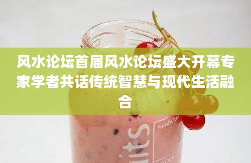 风水论坛首届风水论坛盛大开幕专家学者共话传统智慧与现代生活融合