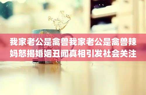 我家老公是禽兽我家老公是禽兽辣妈怒揭婚姻丑闻真相引发社会关注