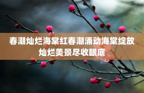 春潮灿烂海棠红春潮涌动海棠绽放灿烂美景尽收眼底
