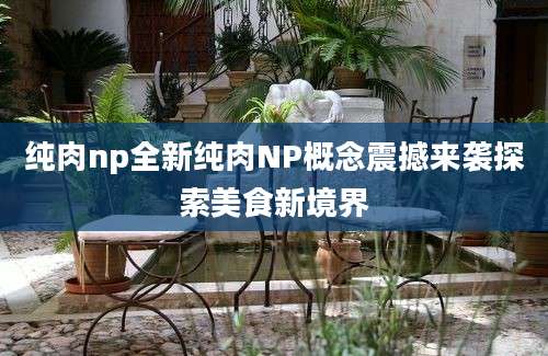 纯肉np全新纯肉NP概念震撼来袭探索美食新境界