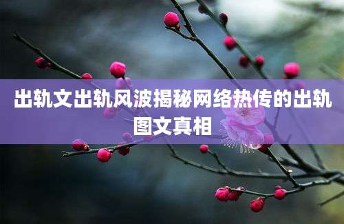出轨文出轨风波揭秘网络热传的出轨图文真相