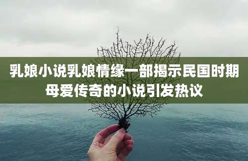 乳娘小说乳娘情缘一部揭示民国时期母爱传奇的小说引发热议