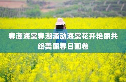 春潮海棠春潮涌动海棠花开艳丽共绘美丽春日画卷