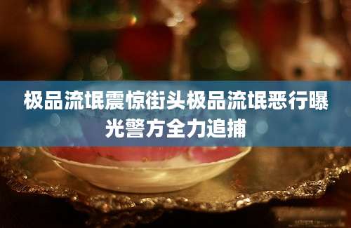 极品流氓震惊街头极品流氓恶行曝光警方全力追捕