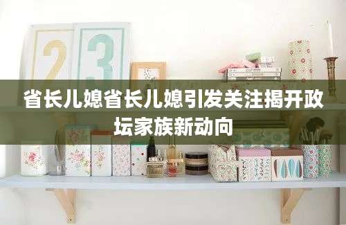 省长儿媳省长儿媳引发关注揭开政坛家族新动向