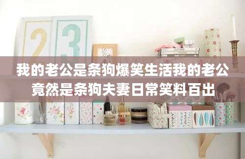我的老公是条狗爆笑生活我的老公竟然是条狗夫妻日常笑料百出