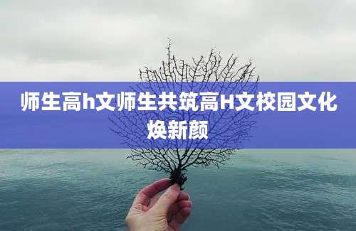 师生高h文师生共筑高H文校园文化焕新颜