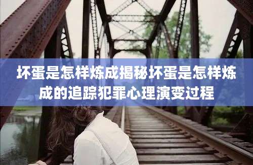 坏蛋是怎样炼成揭秘坏蛋是怎样炼成的追踪犯罪心理演变过程