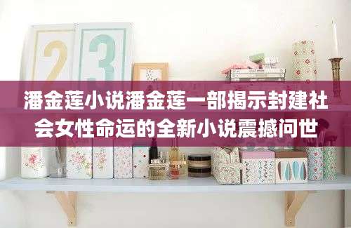 潘金莲小说潘金莲一部揭示封建社会女性命运的全新小说震撼问世