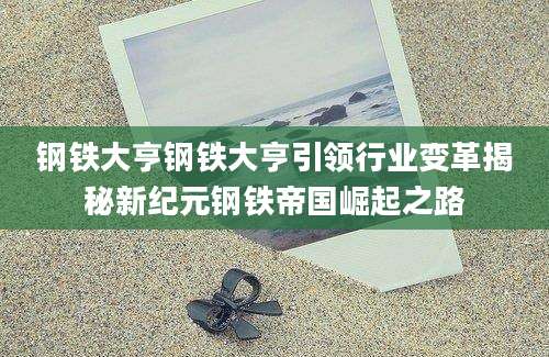 钢铁大亨钢铁大亨引领行业变革揭秘新纪元钢铁帝国崛起之路