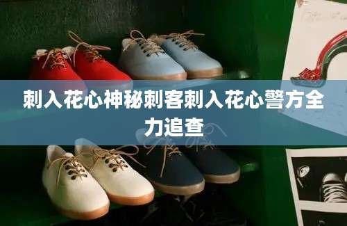 刺入花心神秘刺客刺入花心警方全力追查