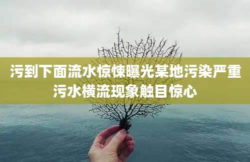 污到下面流水惊悚曝光某地污染严重污水横流现象触目惊心
