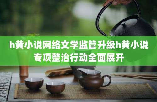 h黄小说网络文学监管升级h黄小说专项整治行动全面展开