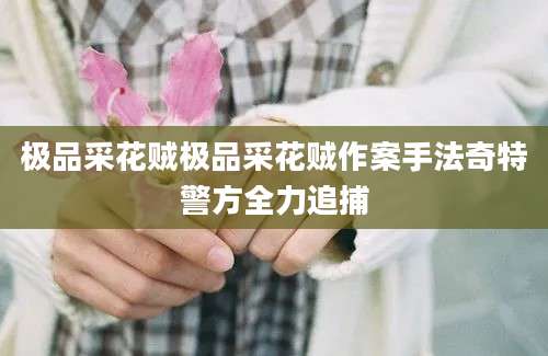 极品采花贼极品采花贼作案手法奇特警方全力追捕