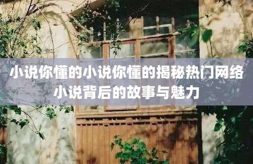 小说你懂的小说你懂的揭秘热门网络小说背后的故事与魅力