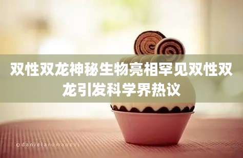 双性双龙神秘生物亮相罕见双性双龙引发科学界热议