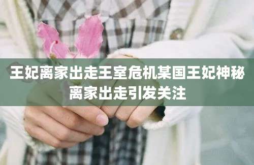 王妃离家出走王室危机某国王妃神秘离家出走引发关注
