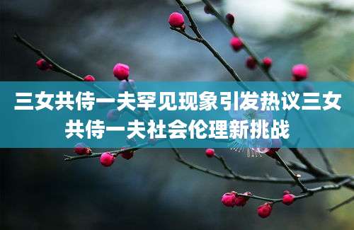 三女共侍一夫罕见现象引发热议三女共侍一夫社会伦理新挑战