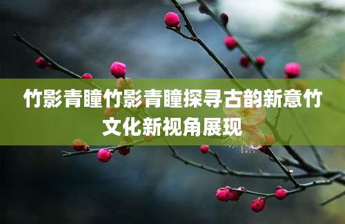 竹影青瞳竹影青瞳探寻古韵新意竹文化新视角展现