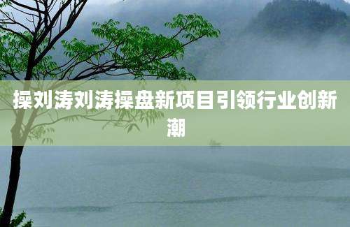 操刘涛刘涛操盘新项目引领行业创新潮