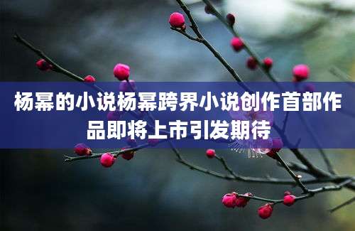 杨幂的小说杨幂跨界小说创作首部作品即将上市引发期待