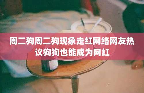 周二狗周二狗现象走红网络网友热议狗狗也能成为网红