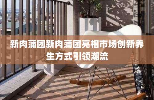 新肉蒲团新肉蒲团亮相市场创新养生方式引领潮流