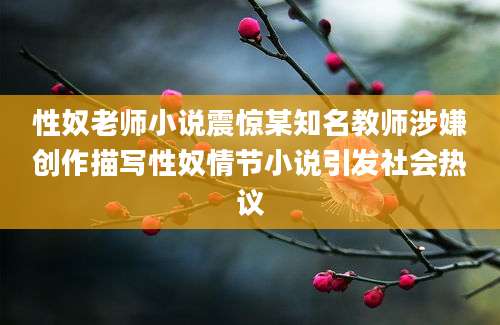性奴老师小说震惊某知名教师涉嫌创作描写性奴情节小说引发社会热议