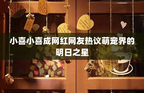 小喜小喜成网红网友热议萌宠界的明日之星