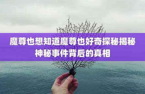 魔尊也想知道魔尊也好奇探秘揭秘神秘事件背后的真相