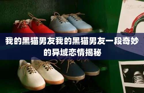 我的黑猫男友我的黑猫男友一段奇妙的异域恋情揭秘