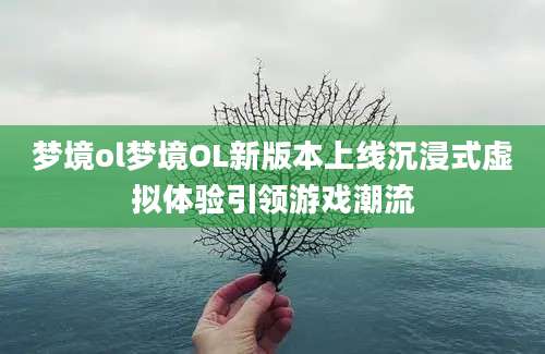 梦境ol梦境OL新版本上线沉浸式虚拟体验引领游戏潮流