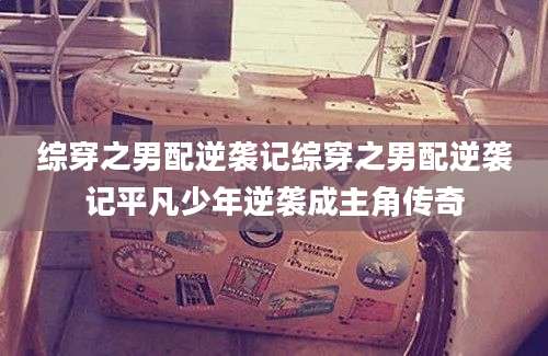 综穿之男配逆袭记综穿之男配逆袭记平凡少年逆袭成主角传奇