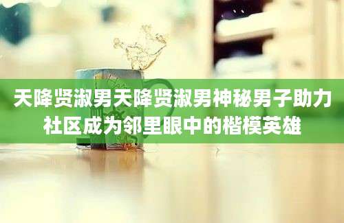 天降贤淑男天降贤淑男神秘男子助力社区成为邻里眼中的楷模英雄