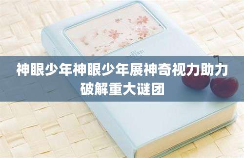 神眼少年神眼少年展神奇视力助力破解重大谜团