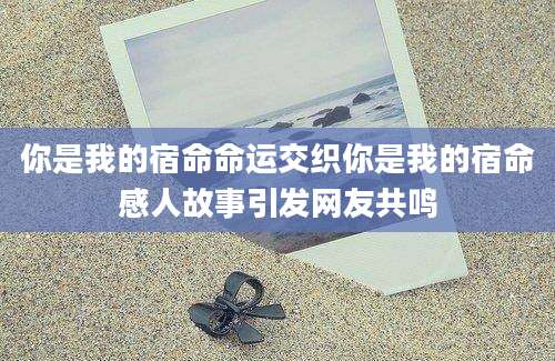 你是我的宿命命运交织你是我的宿命感人故事引发网友共鸣