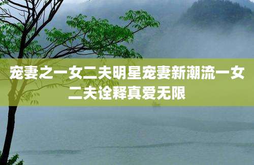 宠妻之一女二夫明星宠妻新潮流一女二夫诠释真爱无限