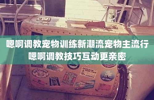 嗯啊调教宠物训练新潮流宠物主流行嗯啊调教技巧互动更亲密