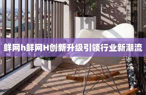 鲜网h鲜网H创新升级引领行业新潮流