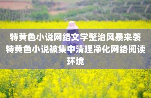 特黄色小说网络文学整治风暴来袭特黄色小说被集中清理净化网络阅读环境