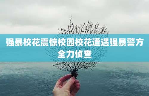强暴校花震惊校园校花遭遇强暴警方全力侦查