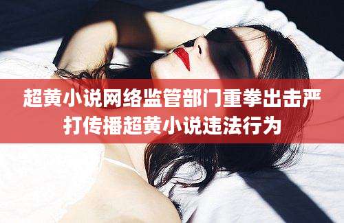 超黄小说网络监管部门重拳出击严打传播超黄小说违法行为