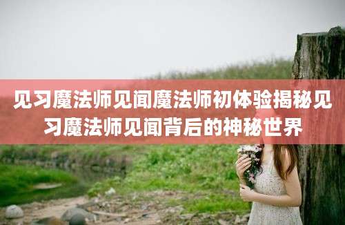 见习魔法师见闻魔法师初体验揭秘见习魔法师见闻背后的神秘世界