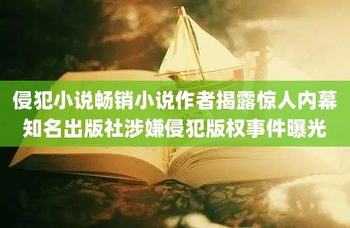 侵犯小说畅销小说作者揭露惊人内幕知名出版社涉嫌侵犯版权事件曝光