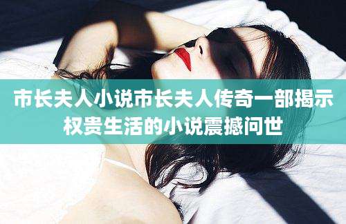 市长夫人小说市长夫人传奇一部揭示权贵生活的小说震撼问世
