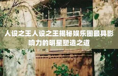 人设之王人设之王揭秘娱乐圈最具影响力的明星塑造之道