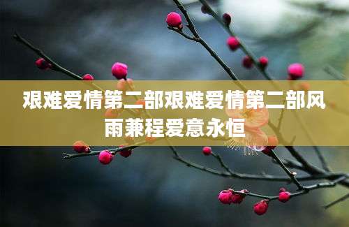 艰难爱情第二部艰难爱情第二部风雨兼程爱意永恒