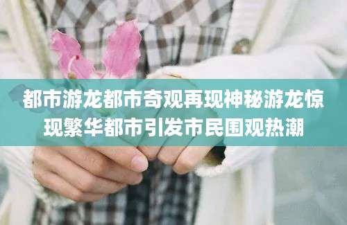 都市游龙都市奇观再现神秘游龙惊现繁华都市引发市民围观热潮