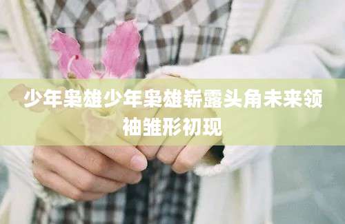 少年枭雄少年枭雄崭露头角未来领袖雏形初现