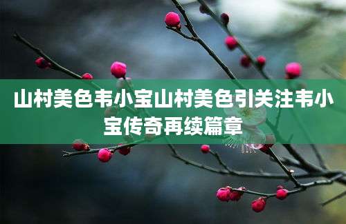山村美色韦小宝山村美色引关注韦小宝传奇再续篇章